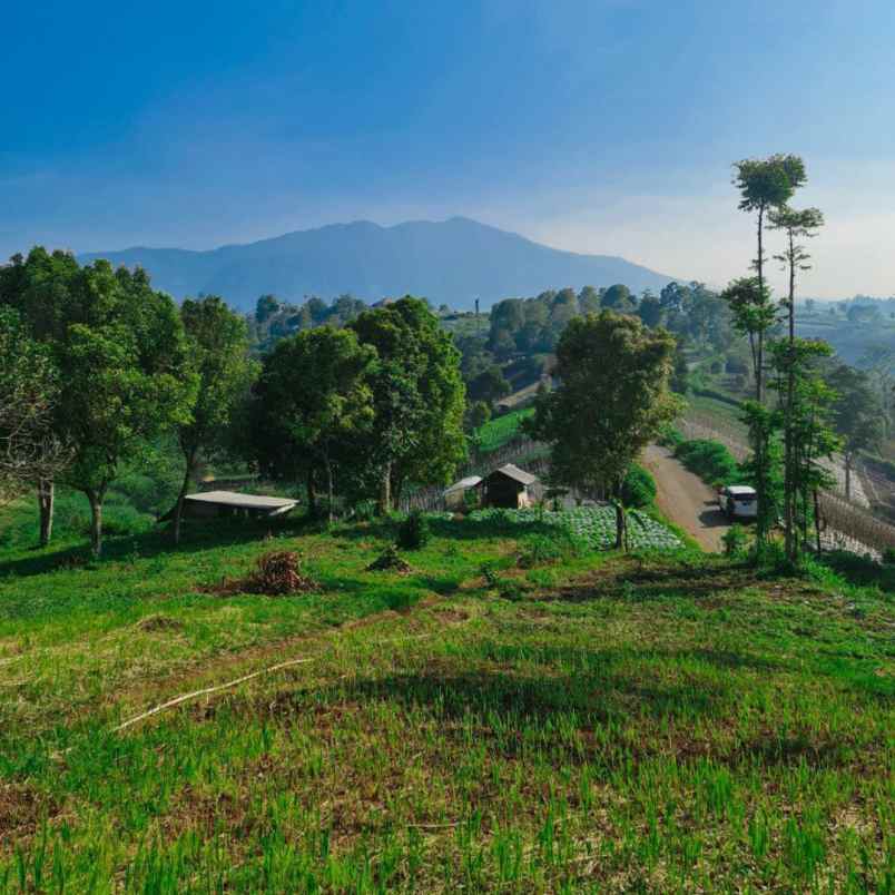 Tanah Murah Di Bandung Cocok Untuk Villa