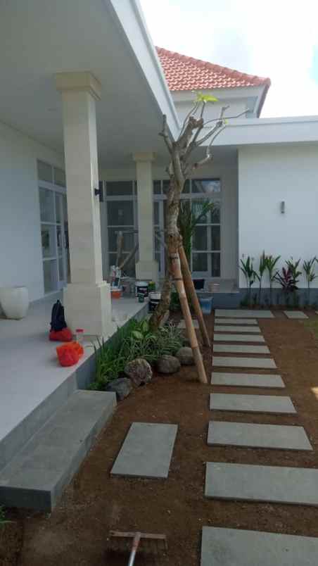 villa for rent in babakan canggu