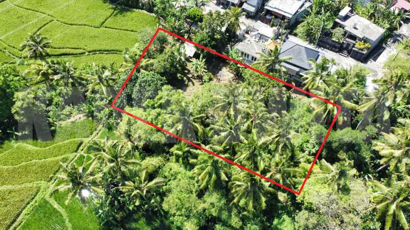 Sewa Tanah View Sawah Sungai Ubud