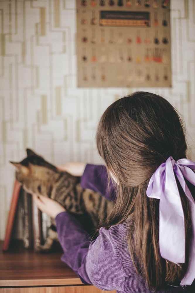 Cara Merawat Kucing Anggora