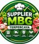 Supplier MBG Terpercaya