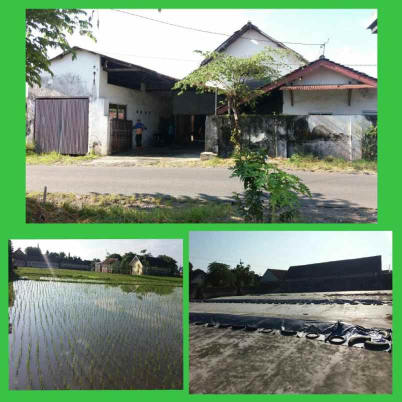 dijual rumah banyuwangi