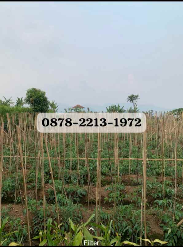 dijual rumah ciwidey kab bandung