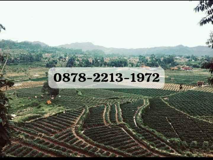 dijual rumah ciwidey kab bandung