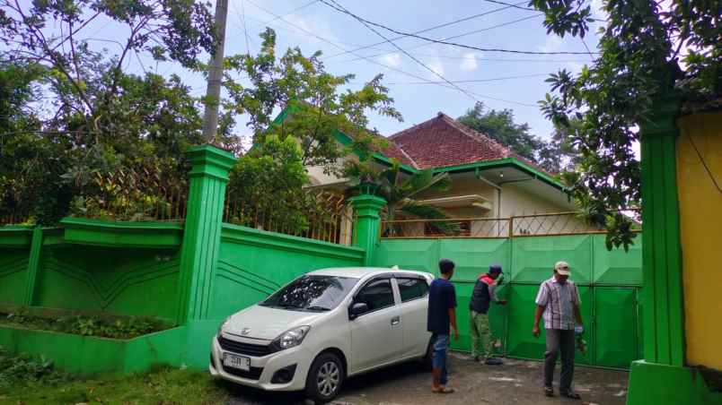 dijual rumah desa tegalsari kec ambulu