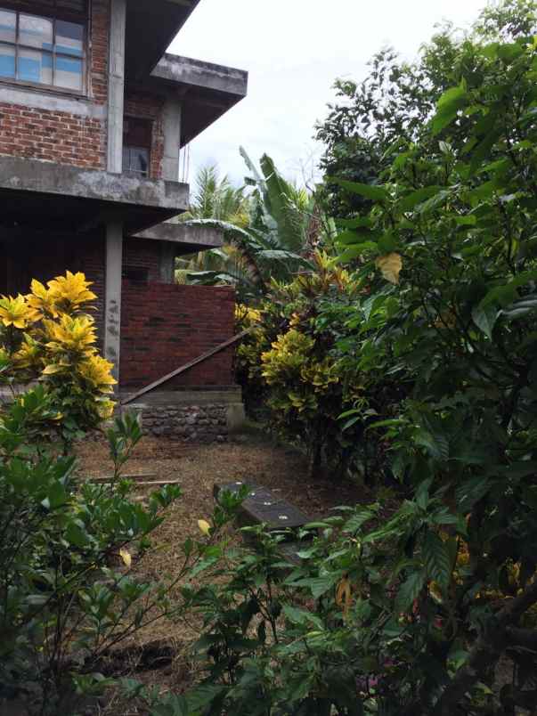 dijual rumah jalan raya antosari tabanan