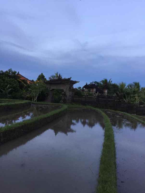 dijual rumah jalan raya antosari tabanan