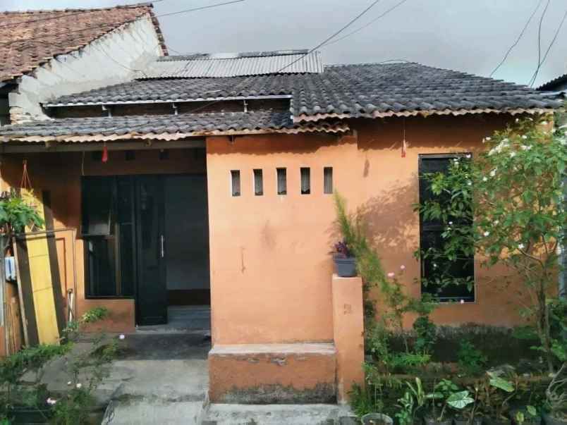 dijual rumah kaliwates