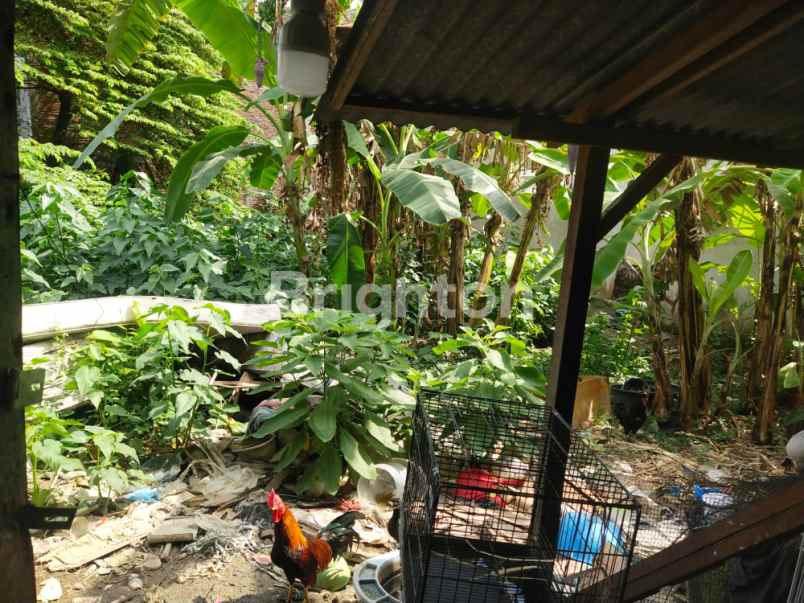 dijual rumah kutisari selatan