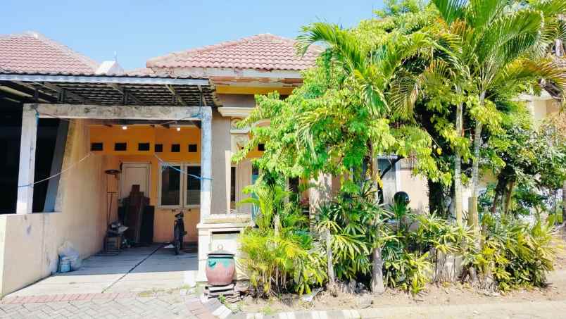 dijual rumah palm spring regency