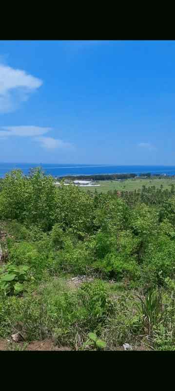 dijual sebidang tanah di lovina dgn vew laut