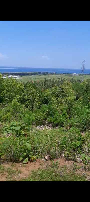 dijual sebidang tanah di lovina dgn vew laut