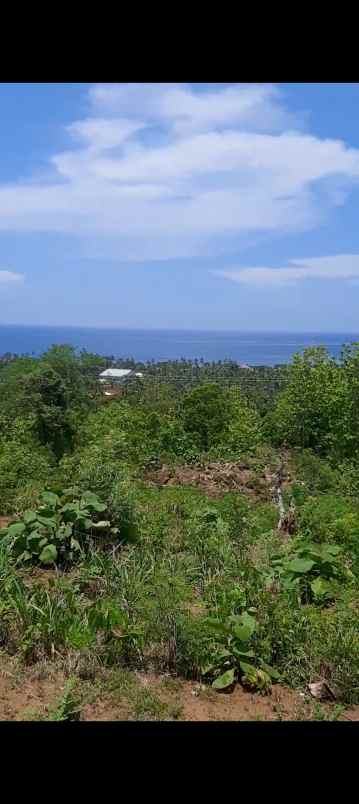 dijual sebidang tanah di lovina dgn vew laut