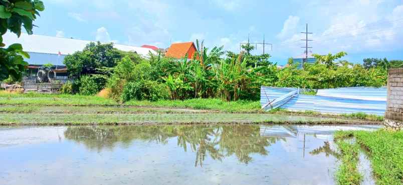 dijual tanah 700 m2 area jl mahendradata denpasar bali