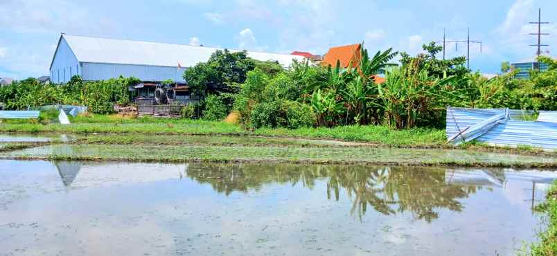 dijual tanah 700 m2 area jl mahendradata denpasar bali