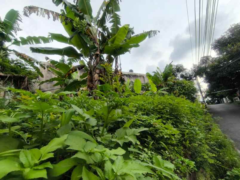 dijual tanah belakang pasar jatingaleh