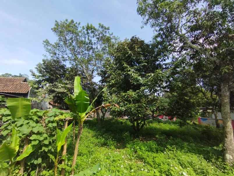 dijual tanah belik kec trawas kabupaten