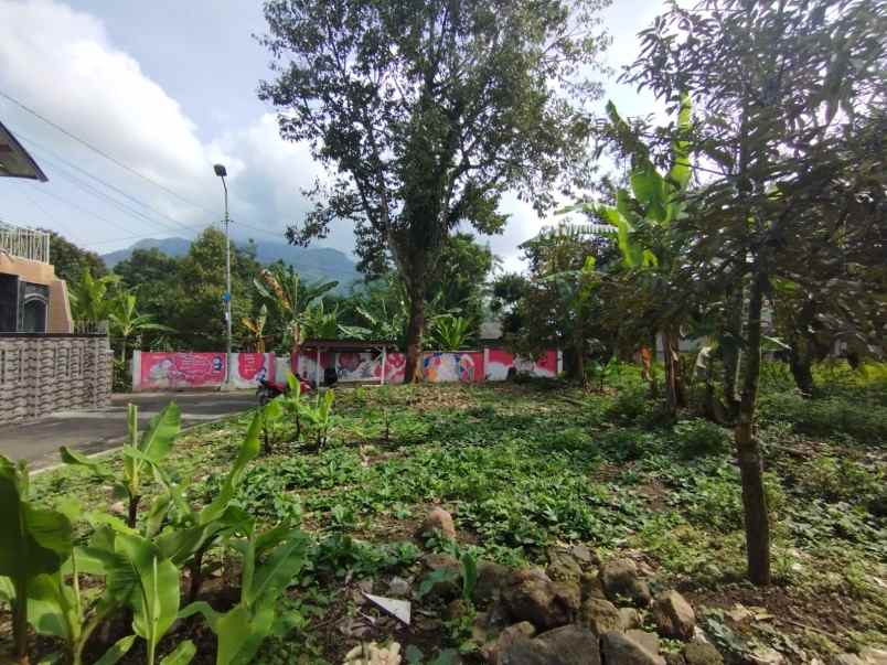 dijual tanah belik kec trawas kabupaten