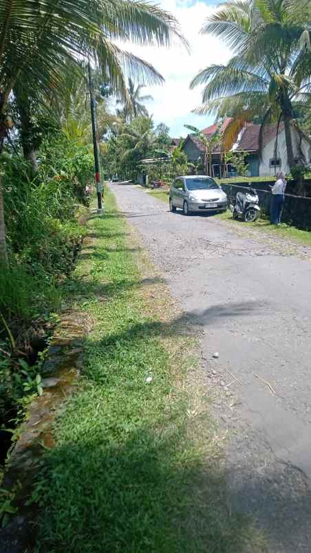 dijual tanah bondosari harjobinangun