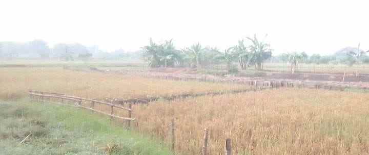 dijual tanah cerme