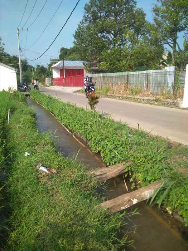 dijual tanah ciherang cutak ciapus