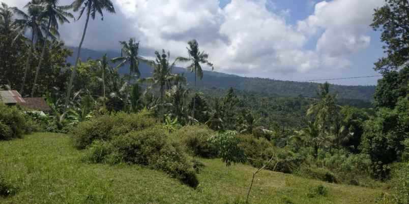 dijual tanah dekat kota karangasem