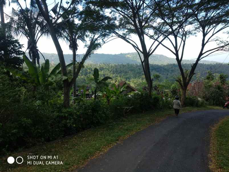 dijual tanah dekat kota karangasem