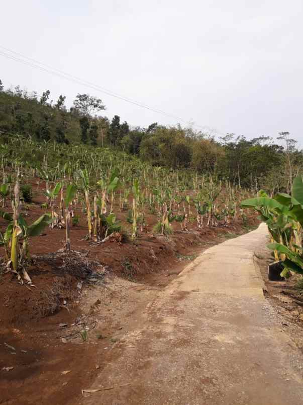 dijual tanah desa kamurang kecamatan