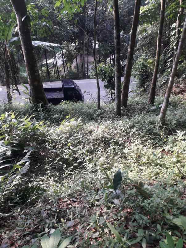 dijual tanah desa kamurang kecamatan