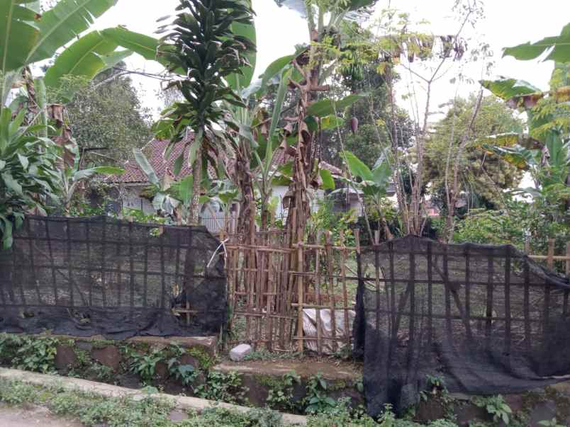 dijual tanah desa palasari kecamatan