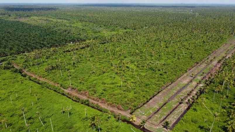 dijual tanah desa peniti kec jongkat