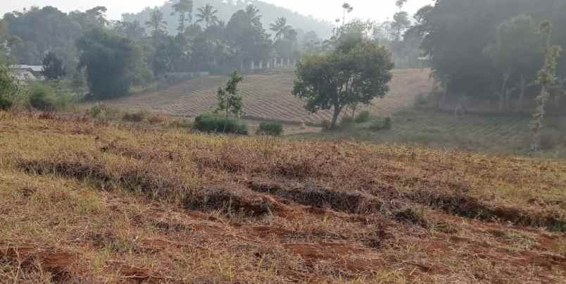 dijual tanah desa pinggirsari kecamatan