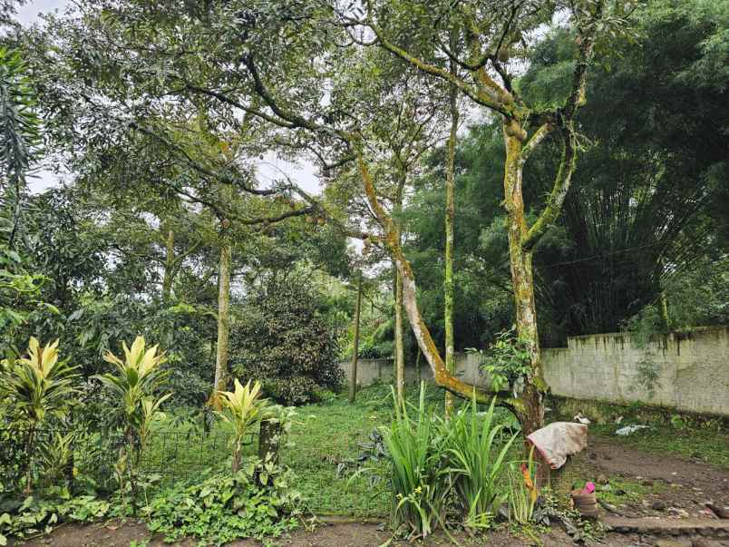 dijual tanah desa tamansari kabupaten