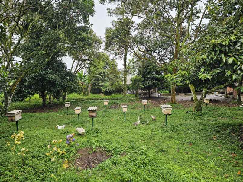 dijual tanah desa tamansari kabupaten