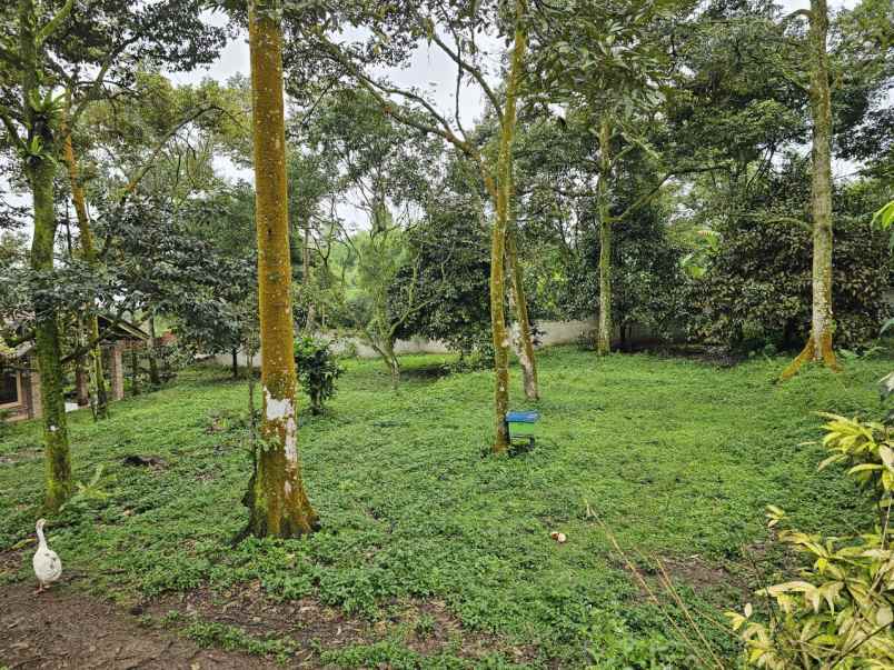 dijual tanah desa tamansari kabupaten