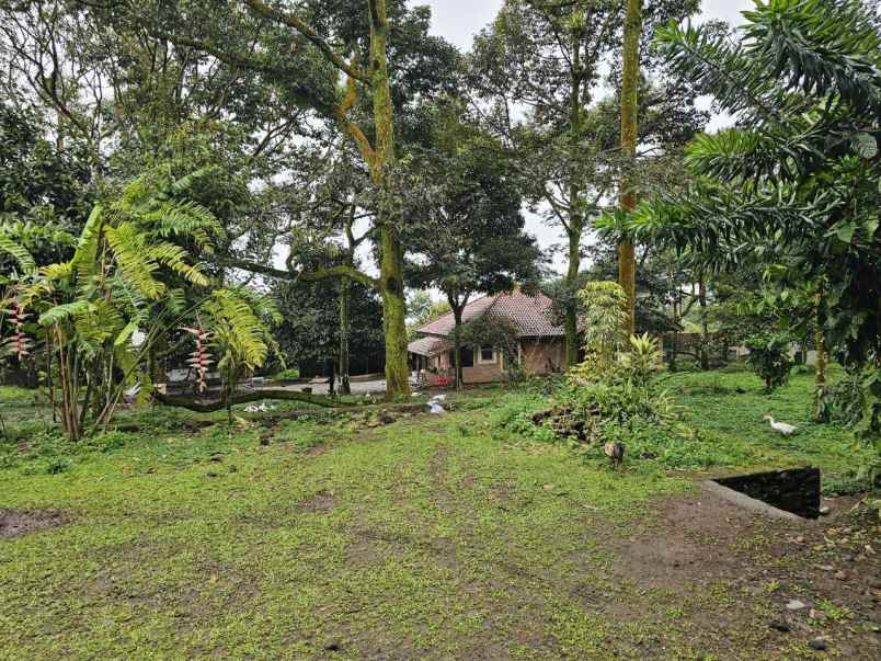 dijual tanah desa tamansari kabupaten