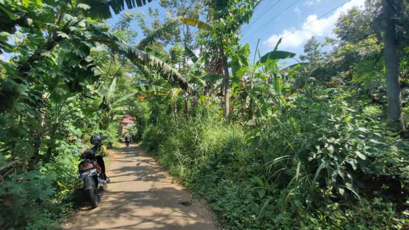 dijual tanah gajahrejo