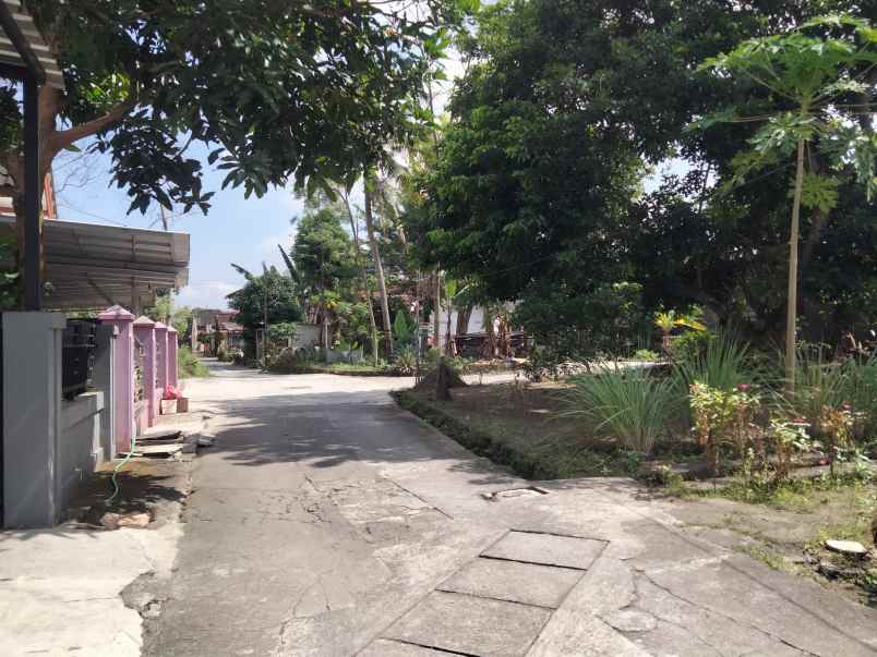 dijual tanah gg elang 4a dayakan