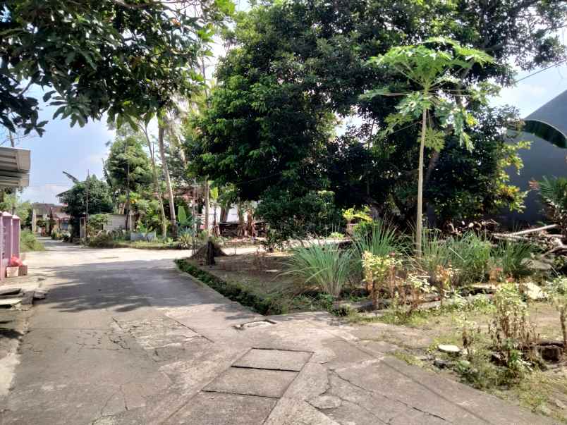 dijual tanah gg elang 4a dayakan