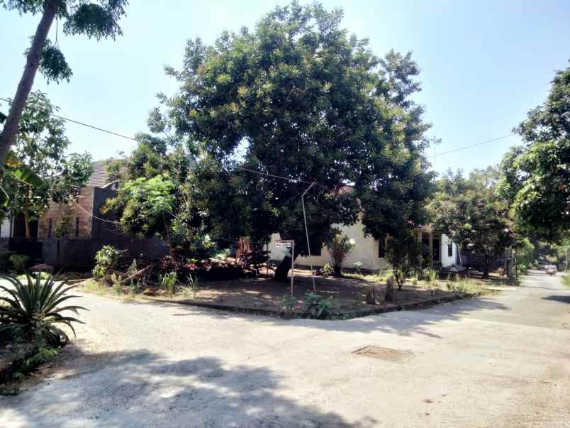 dijual tanah gg elang 4a dayakan
