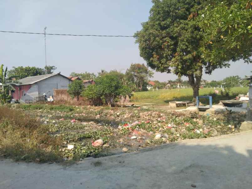 dijual tanah jalan pangkalan