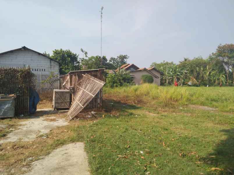 dijual tanah jalan pangkalan