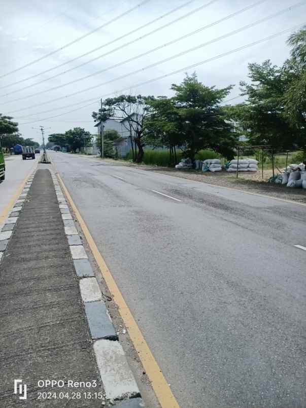 dijual tanah jalan pusaka jaya desa