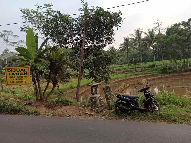 dijual tanah jalan raya boja dusun