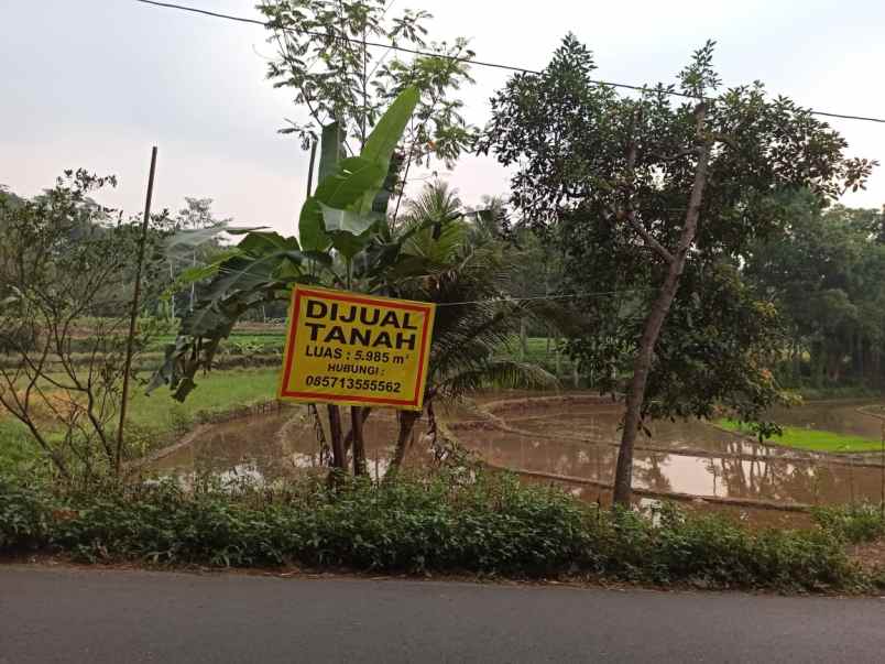 dijual tanah jalan raya boja dusun