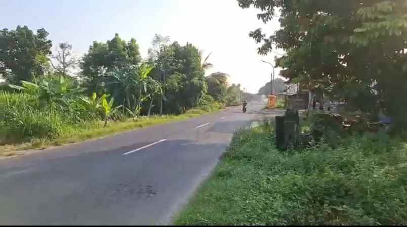 dijual tanah jalan raya sawo