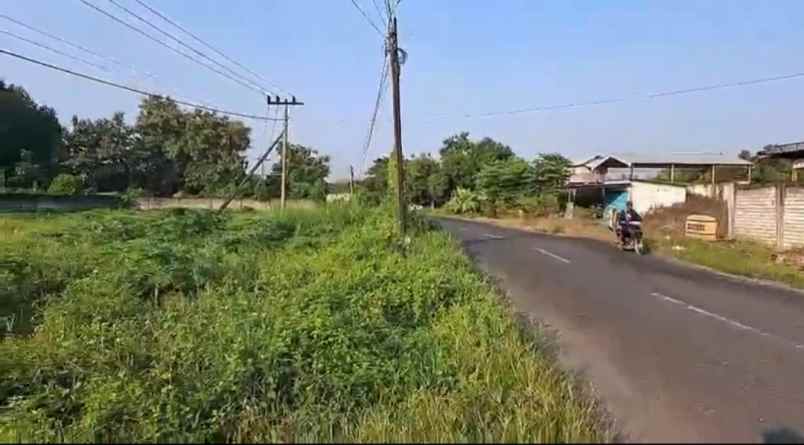 dijual tanah jalan raya sawo
