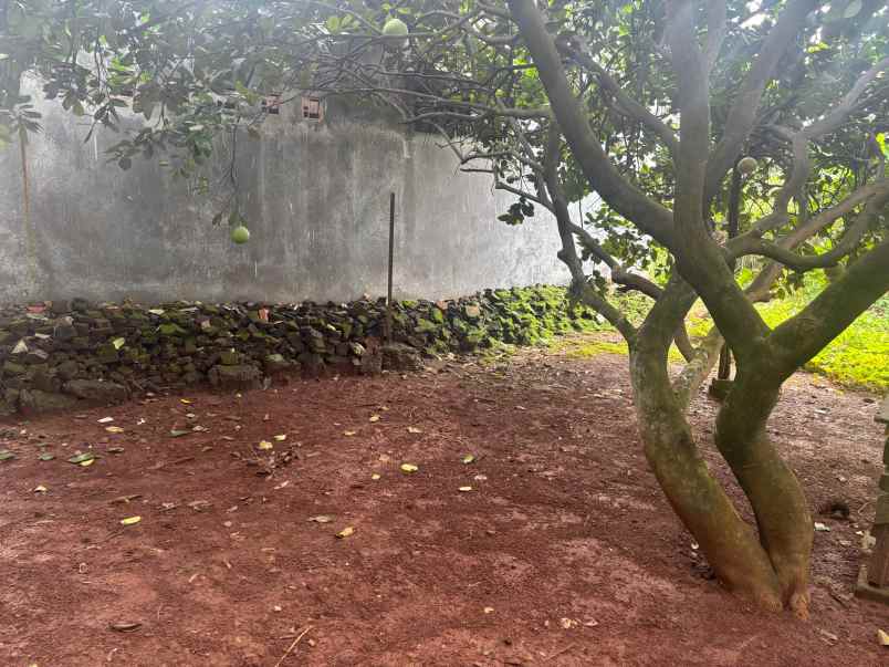 dijual tanah jalan wijaya kusuma