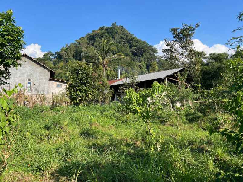 dijual tanah jenawi karanganyar