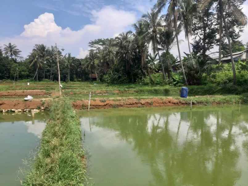 dijual tanah jl amd raya cibentang ciseeng